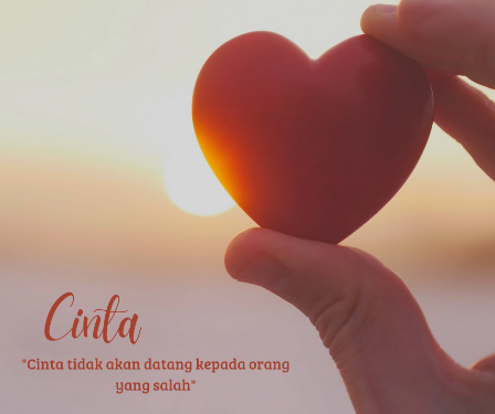 Cinta tidak akan datang kepada orang yang salah_alineaku