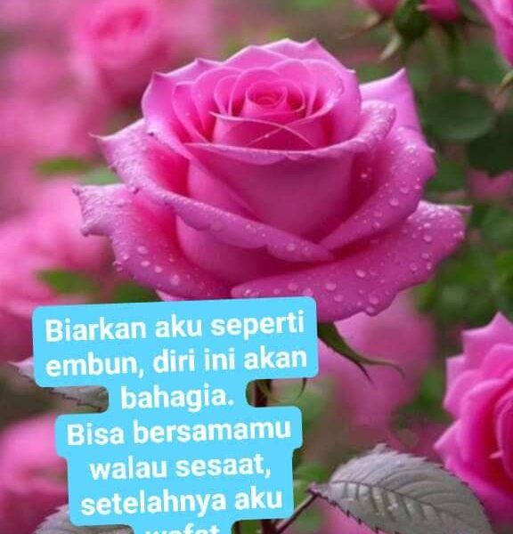JANGAN TAKUT DUNIA MENYUKAIMU – bab2. Takut Jatuh Cinta_alineaku
