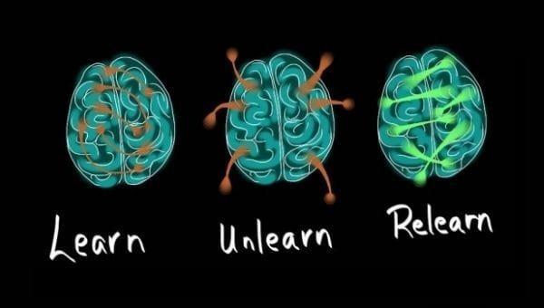 Learn Unlearn dan Relearn Kunci Beradaptasi di Era Perubahan_alineaku