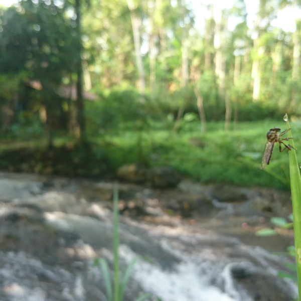 Batin Ku Terus Merindu_alineaku