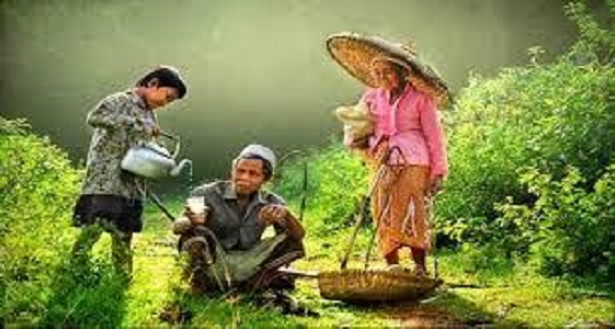 Untuk Ibu dan Ayah Tercinta_alineaku