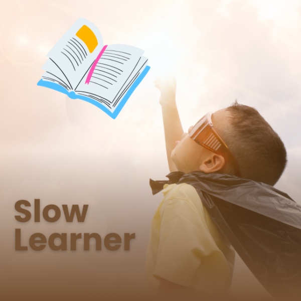 Apa itu Slow Learner_alineaku