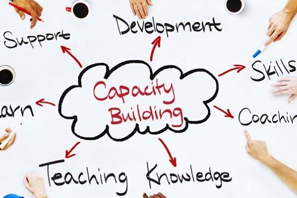 Character Building dan Capacity Building dalam Penguatan SDM_alineaku
