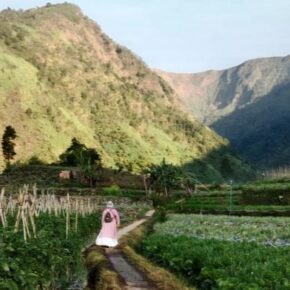 RIAK-RIAK RINDU_alineaku