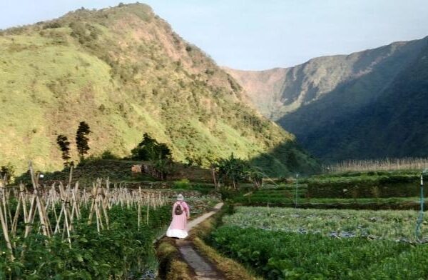 RIAK-RIAK RINDU_alineaku