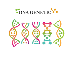 Tes DNA_alineaku