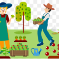 Petani Sayur ke Seniman Daun_alineaku