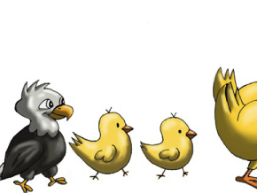 ANAK ELANG DALAM ASUHAN AYAM_alineaku
