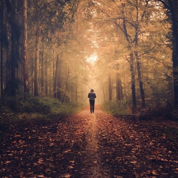 Di Jalan Sunyi_alineaku