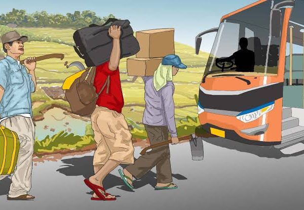 Pertemuan Tak Terduga dan Ajakan Merantau ke Lamandau_alineaku