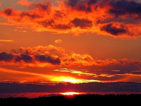 Senja Tanpa Cahaya_alineaku
