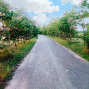 TAKDIR DI JALAN SEPI_alineaku