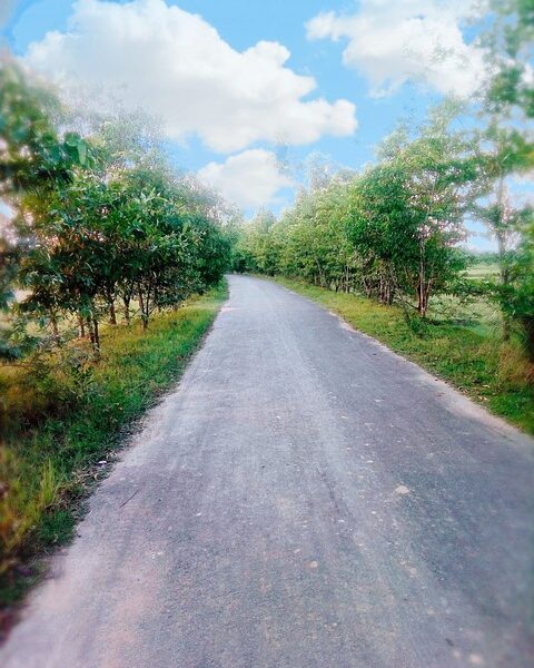 TAKDIR DI JALAN SEPI_alineaku