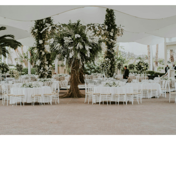 BAB 15 - PERNIKAHAN_alineaku