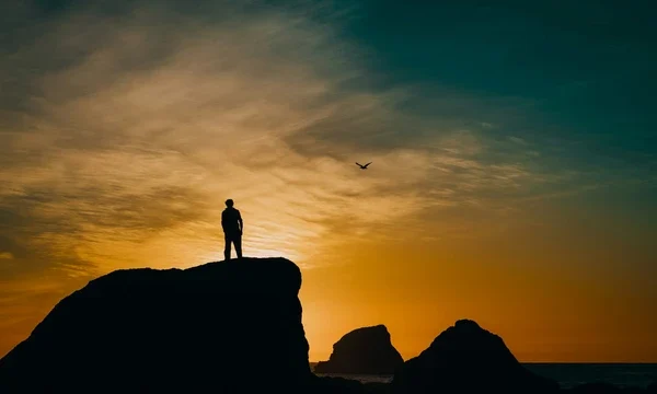 Takdir Allah Yang Terbaik_alineaku