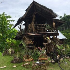 DI BERANDA RUMAH AKAR DAN KEHANGATAN_alineaku