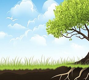 Akar Yang Bertanya Pada Langit