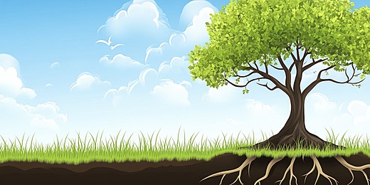 Akar Yang Bertanya Pada Langit