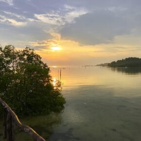 BAB 11_Badai Pasti Berlalu_alineaku