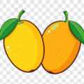 Mangga Kuning di Negeri Biji_alineaku