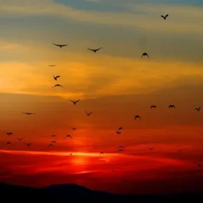 Senja di Ujung Penantian_alineaku