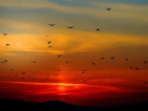 Senja di Ujung Penantian_alineaku